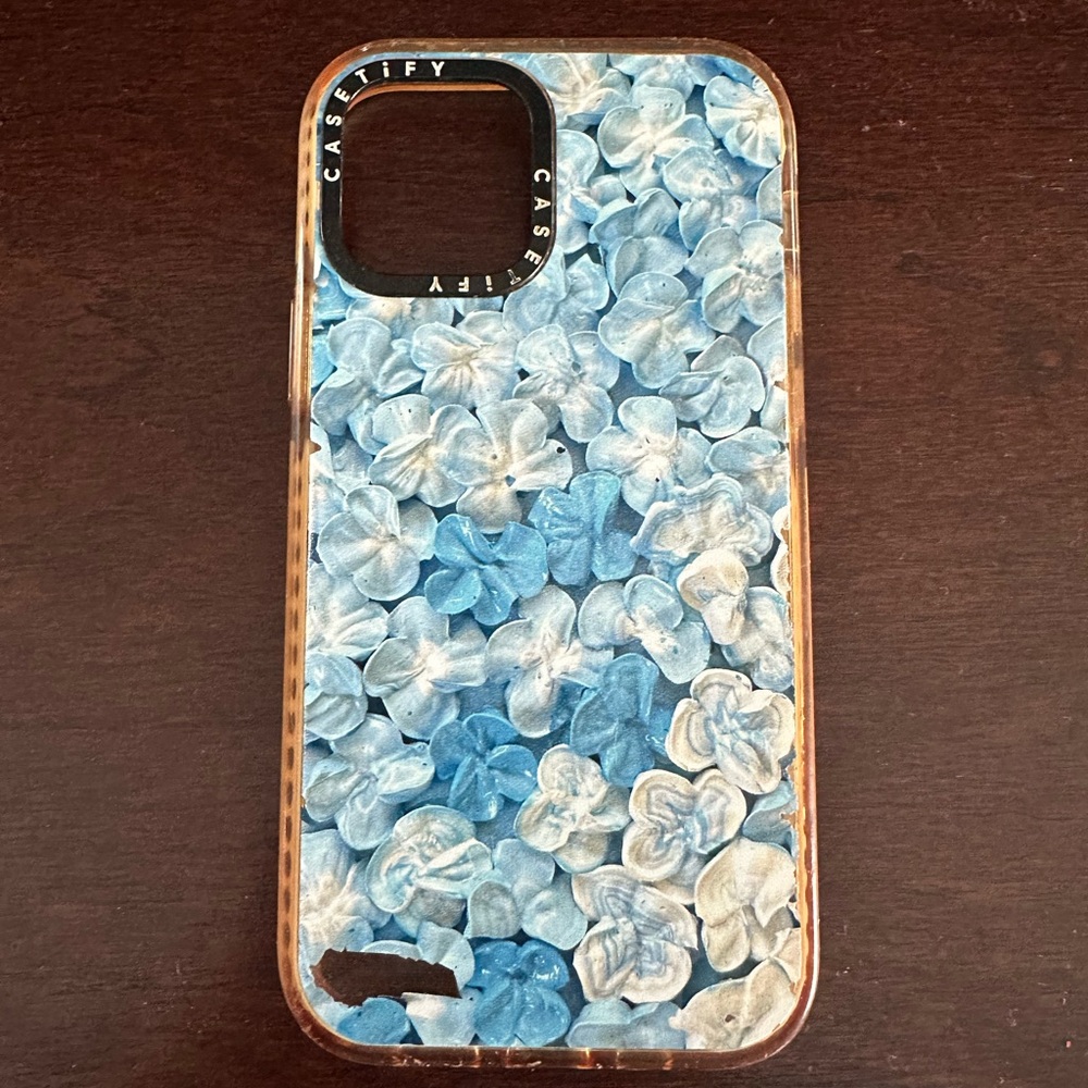 casetify case